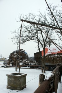 IMG_1015