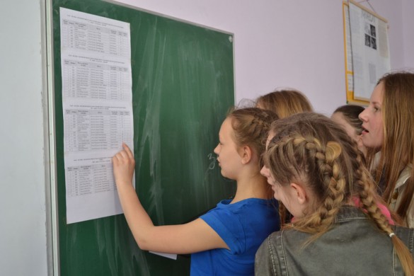 Из русинског језика такмичили се ученици из двадесет школа