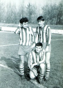 35 Vislavski