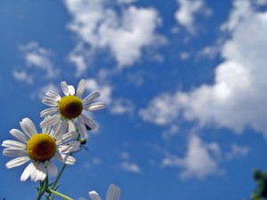 IMG_2744_resize