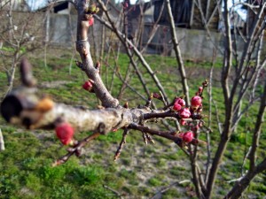 IMG_8993_resize