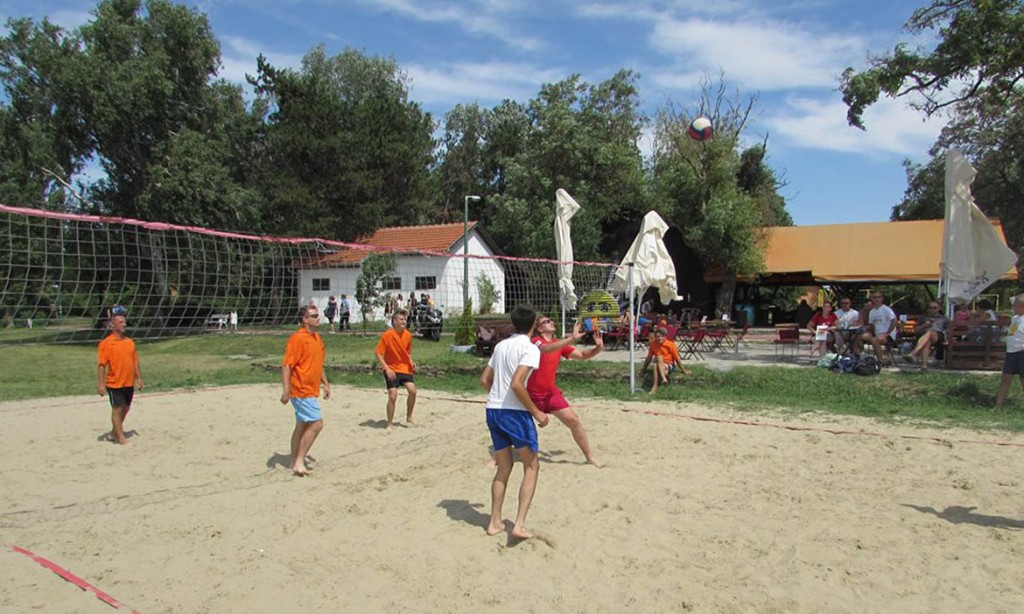 17.8-palic 2