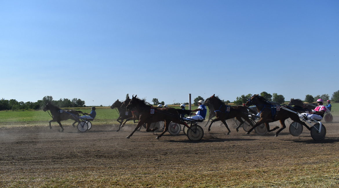 2025-06-22 RK Dringacki obehovanja konjoh ANM (6) (1) – Copy