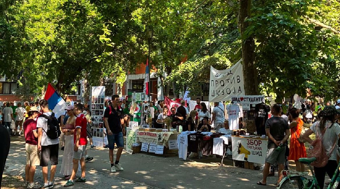 05 6a36a5fa4205d-protest1