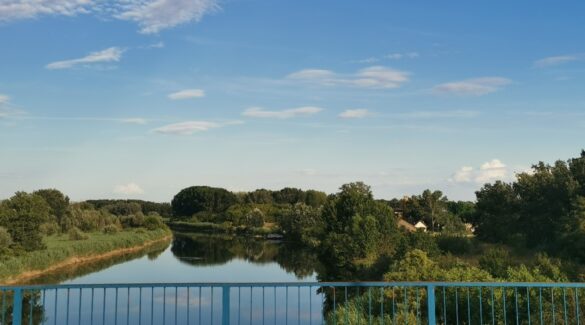 04 Загинуце риби и у Вербаше IMG_20260706_184518