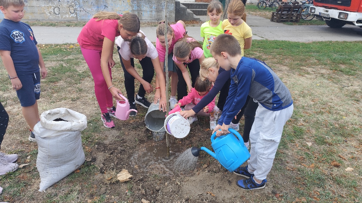 09 Drevka skola (5)